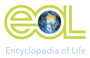 Encyclopedia of Life Encyclopedia of Life